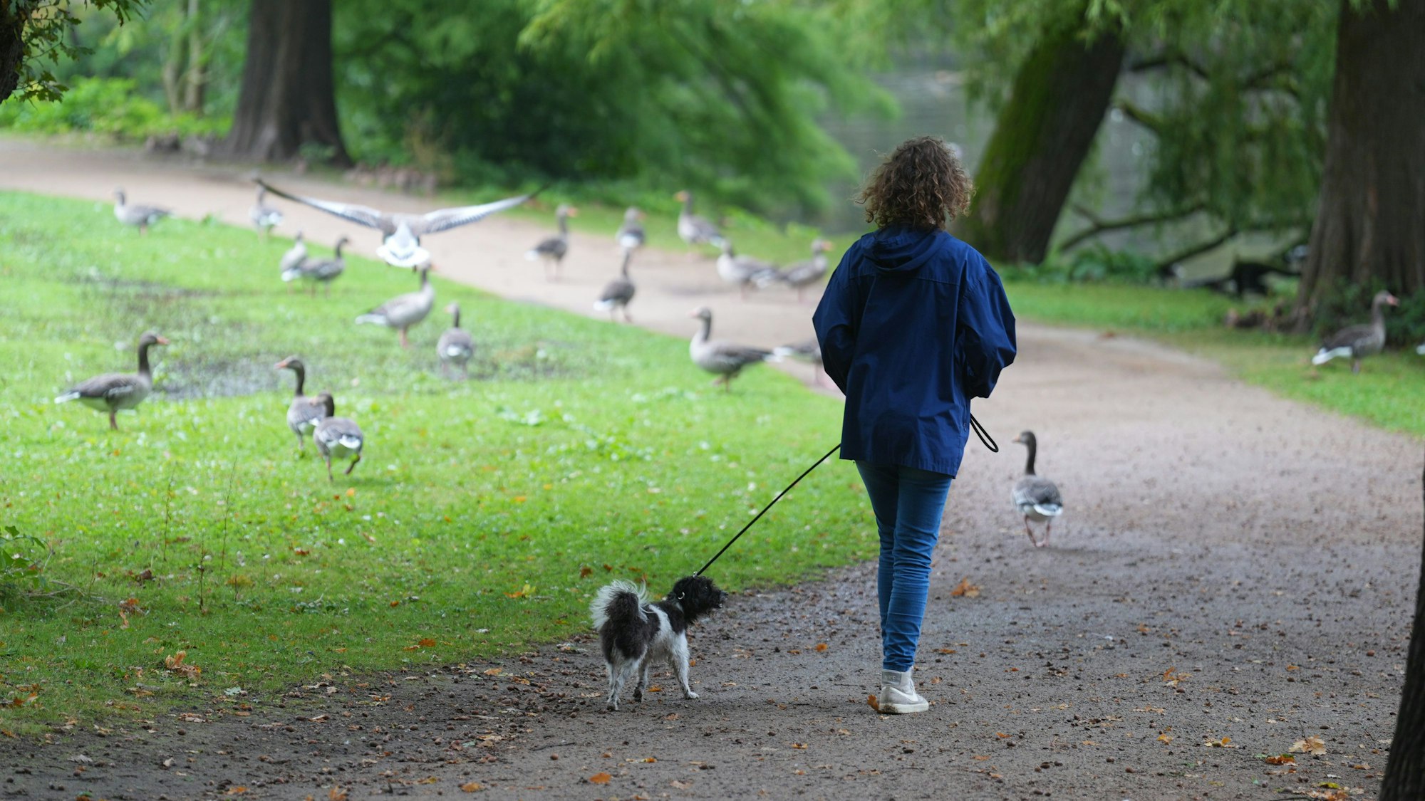 Eine Frau geht mit ihrem Hund in einem Park spazieren.