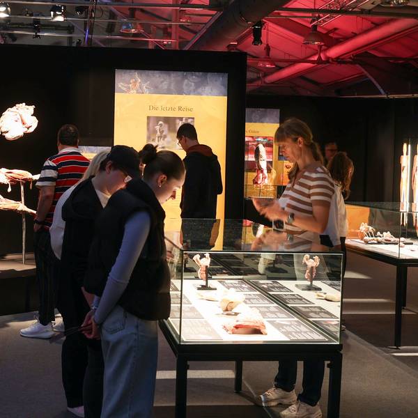 Die Ausstellung wurde im Juni in Köln eröffnet.