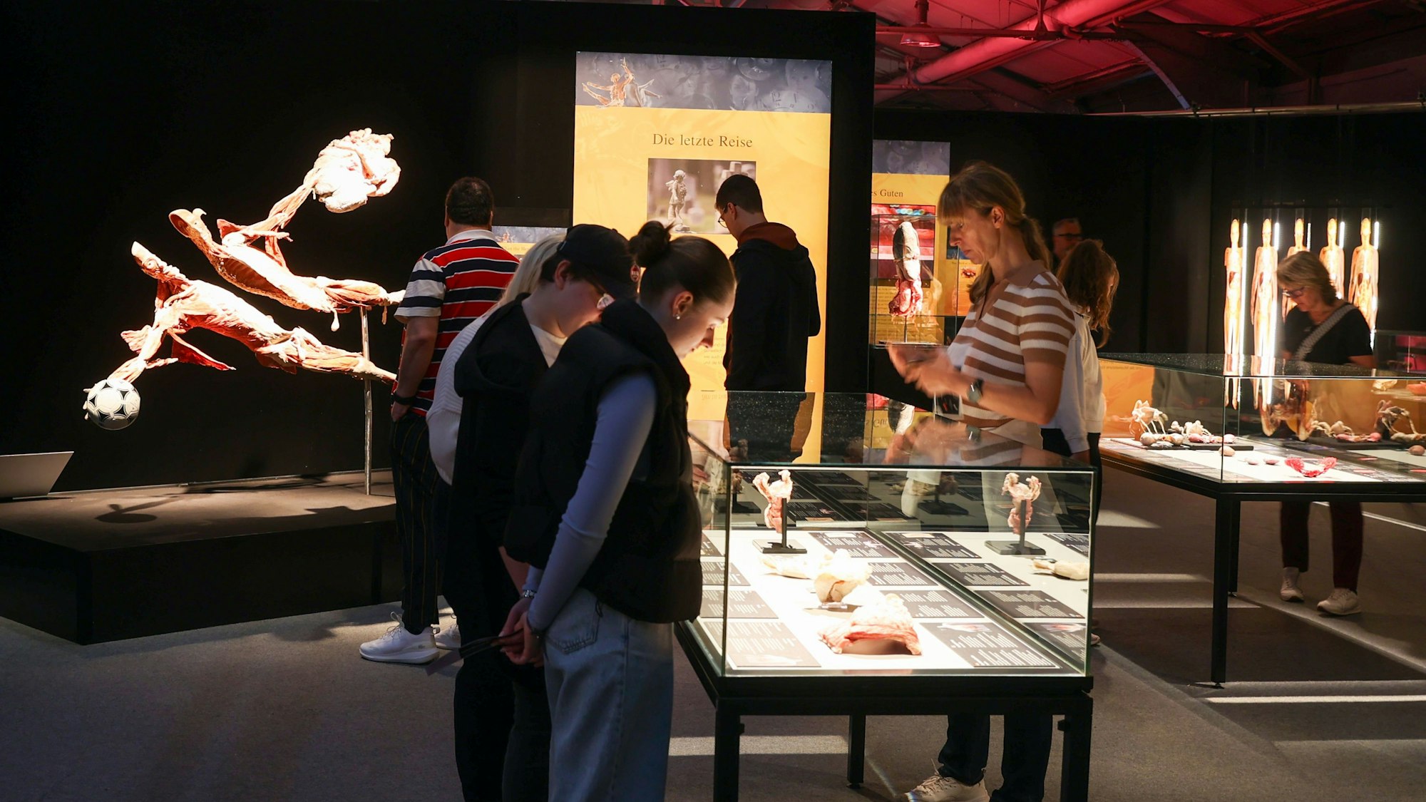 Die Ausstellung wurde im Juni in Köln eröffnet.