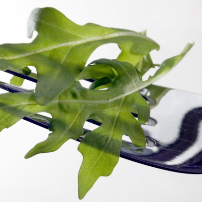 Rucola-Salat liegt auf einer Gabel.