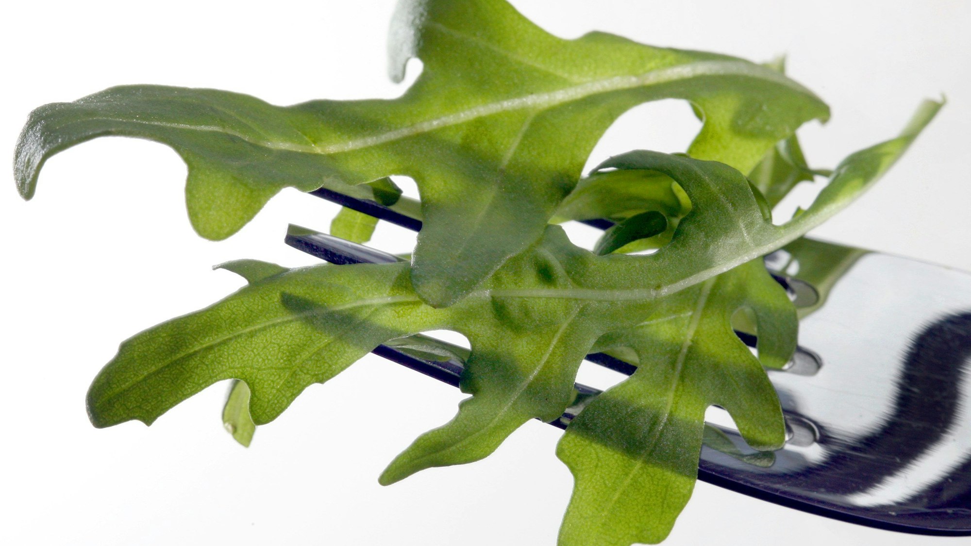Rucola-Salat liegt auf einer Gabel.