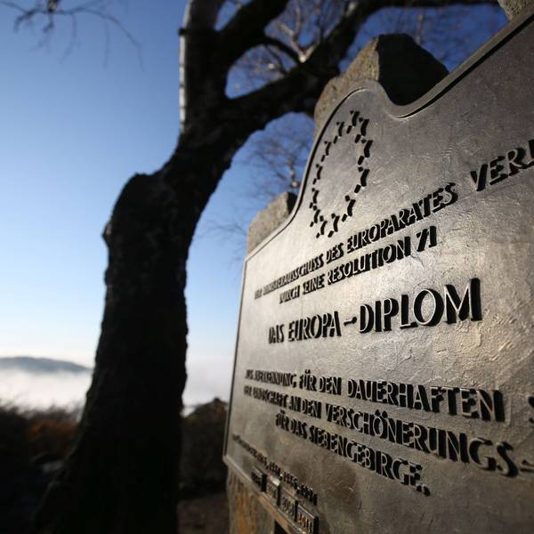 Eine Bronze-Platte mit der Aufschrift "Das Europa-Diplom", im Hintergrund ein Baum vor blauem Himmel.