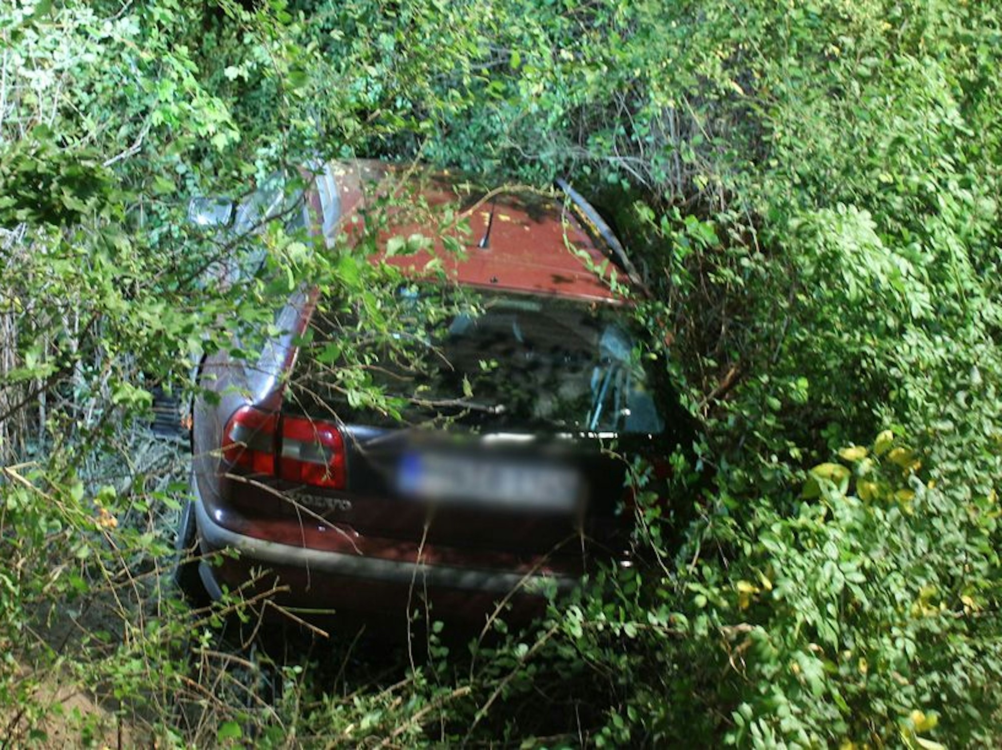 Das Bild zeigt ein Auto, das in einem Gebüsch steht.