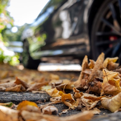 Herbstlaub liegt auf der Straße. Im Hintergrund sind die Reifen eines Autos zu sehen.