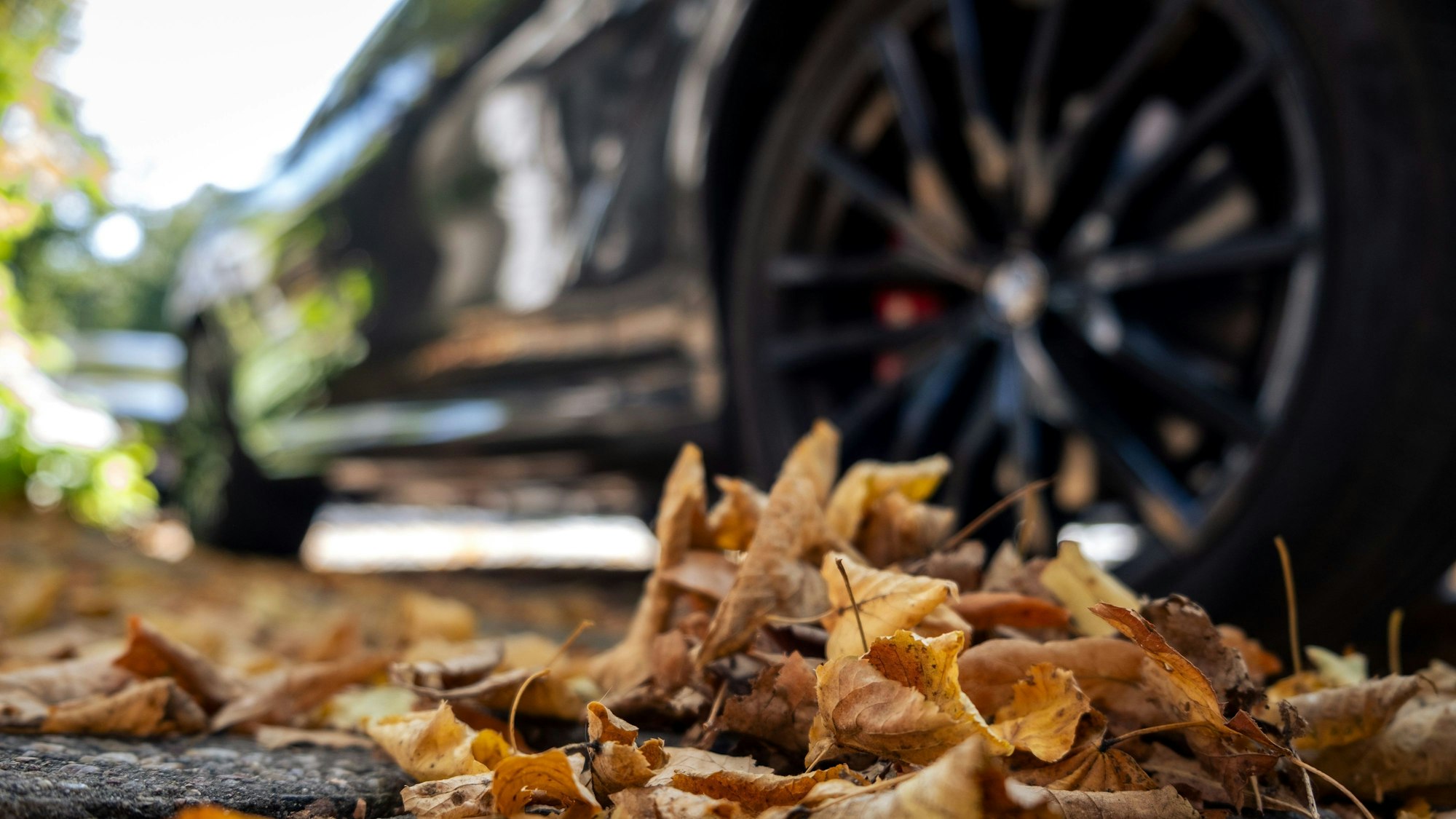 Herbstlaub liegt auf der Straße. Im Hintergrund sind die Reifen eines Autos zu sehen.