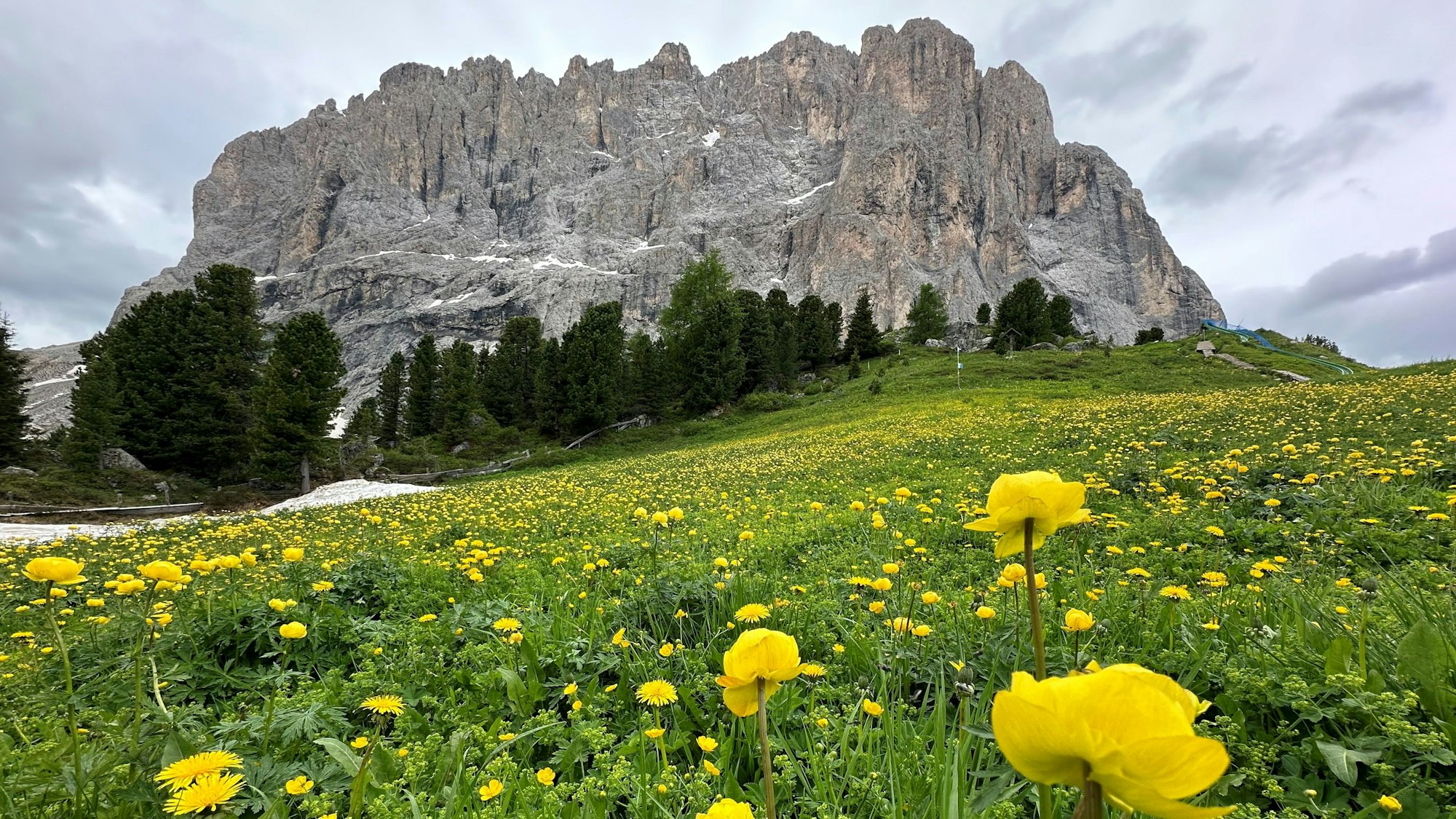 Schroffe Berge und blühende Wiesen findet man in den Dolomiten.