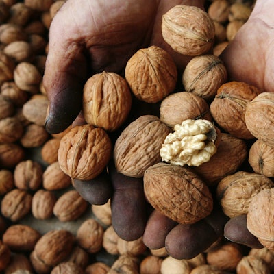 Walnüsse nach der Ernte in Deutschland.