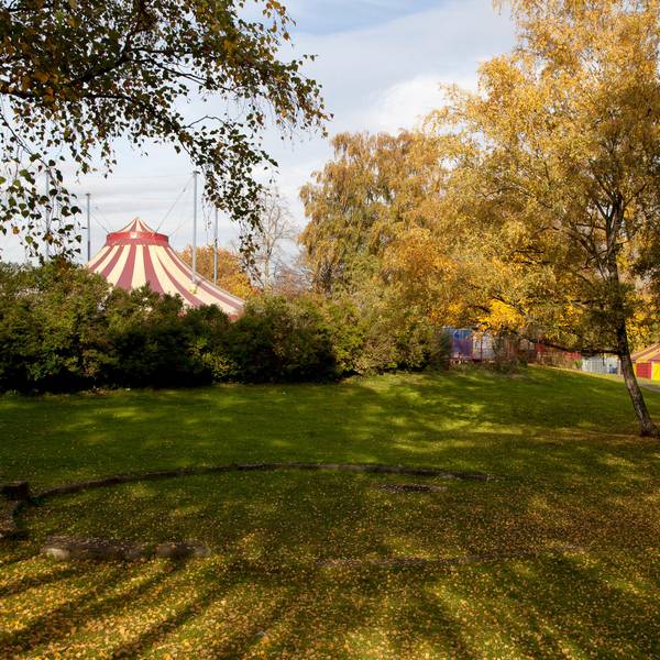 Das neue Gebäude soll auf dem Gelände des bisherigen Zentrums in Riehl entstehen.