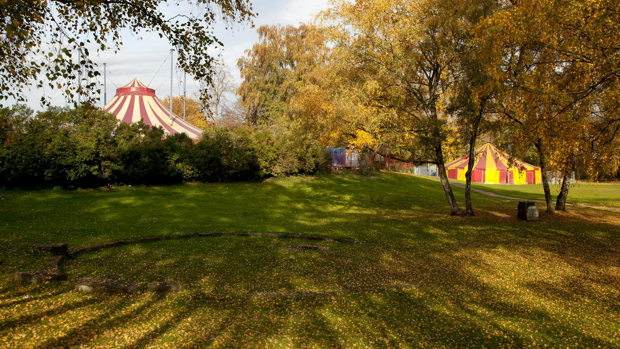 Das neue Gebäude soll auf dem Gelände des bisherigen Zentrums in Riehl entstehen.