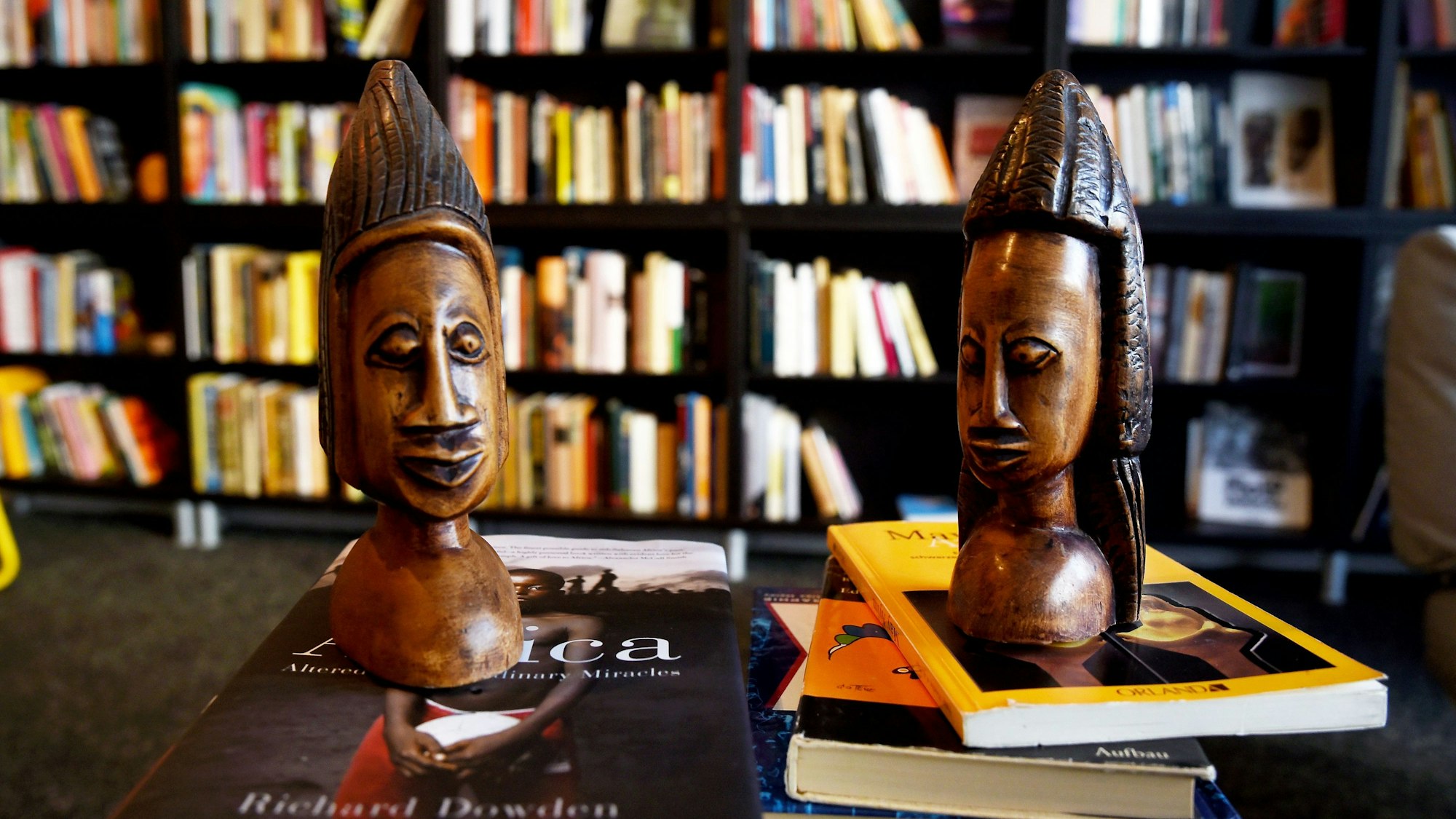 Bücher mit Schwerpunkt Rassismus und Afrika in der Theodor-Wonja-Michael Bibliothek