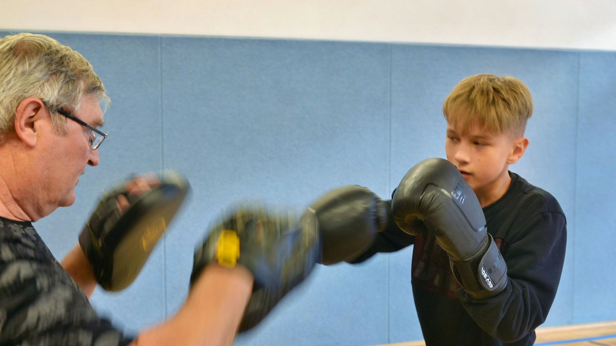 Ein junger und ein älterer Boxer beim Training.