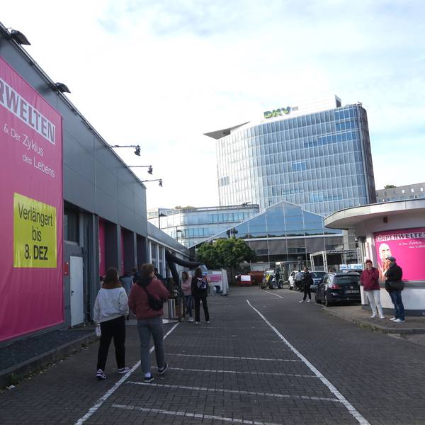 Zu viel Event-Charakter? Im ehemaligen Autohaus an der Oskar-Jäger-Straße ist derzeit noch die Ausstellung „Körperwelten“ zu sehen.