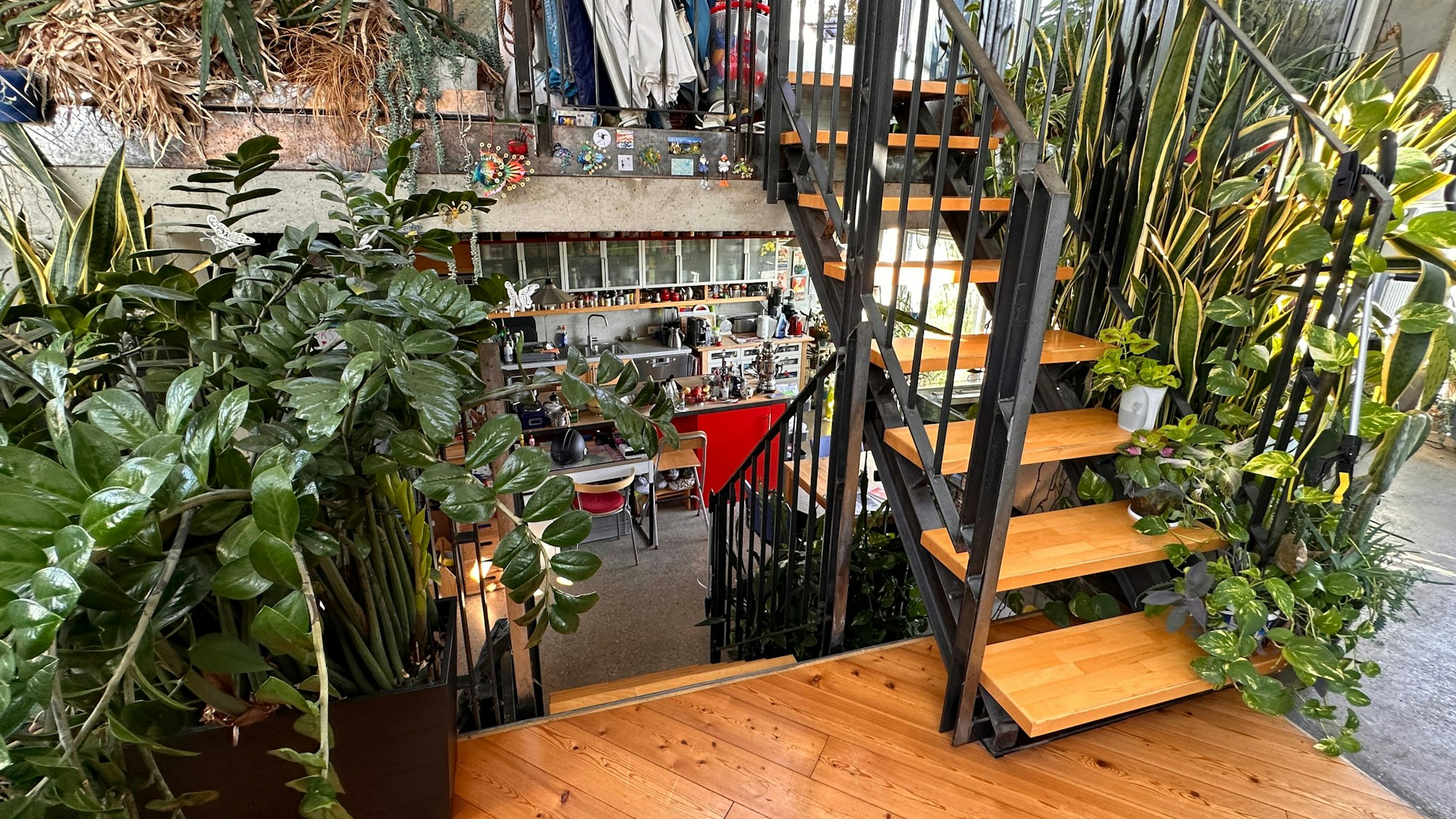 Ein Blick in die Küche. Gelebt wird, dank Splitlevel, auf fünf Ebenen.