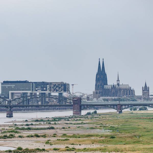 Blick von der Rheinbrücke Rodenkirchen auf Köln an einem der heißesten Tage des Jahres 2023. Die anhaltende Trockenheit ließ den Rheinpegel Köln auf 186 cm sinken.