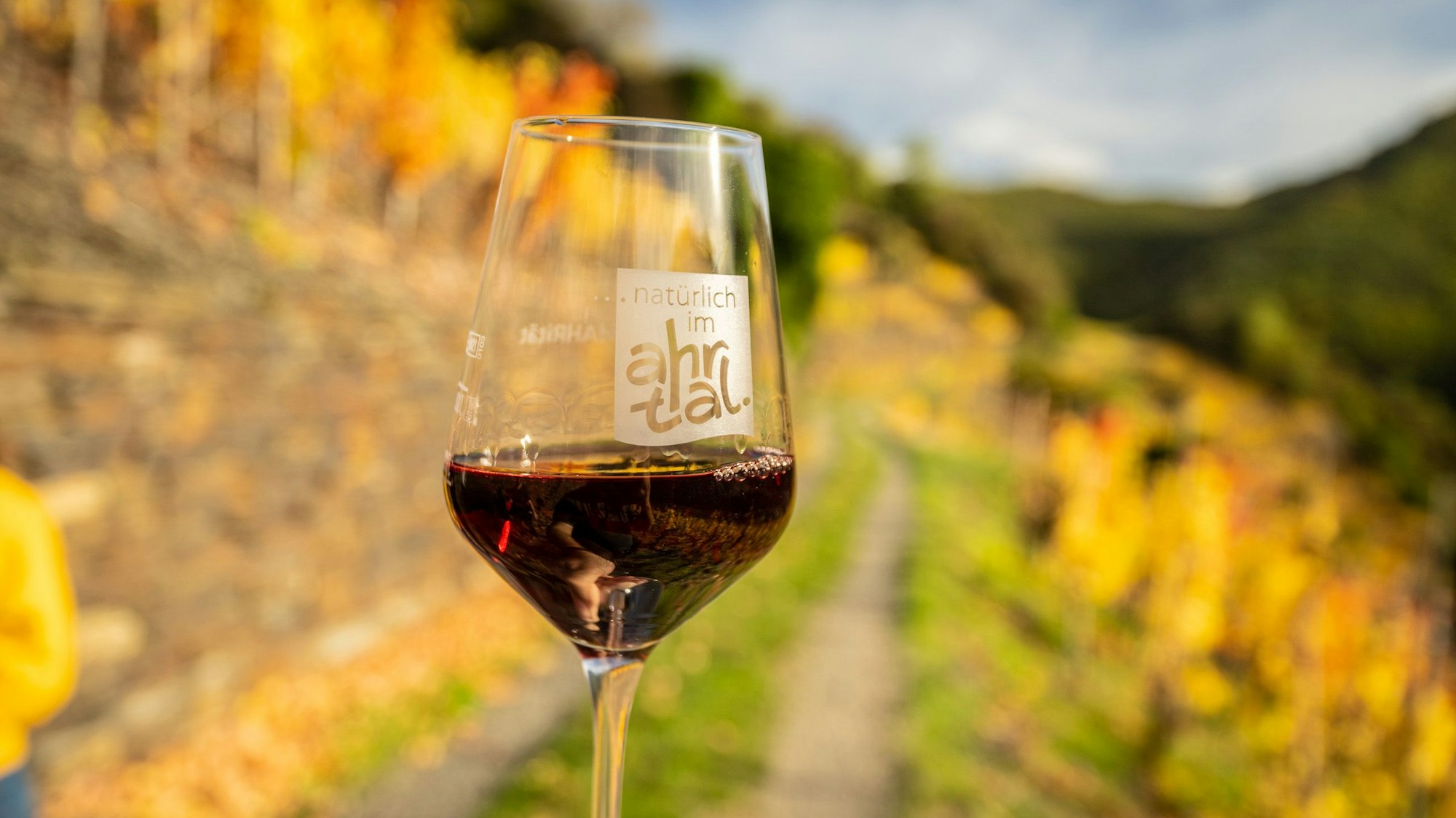 Ein Weinglas vor einer herbstlichen Weinberg-Kulisse.