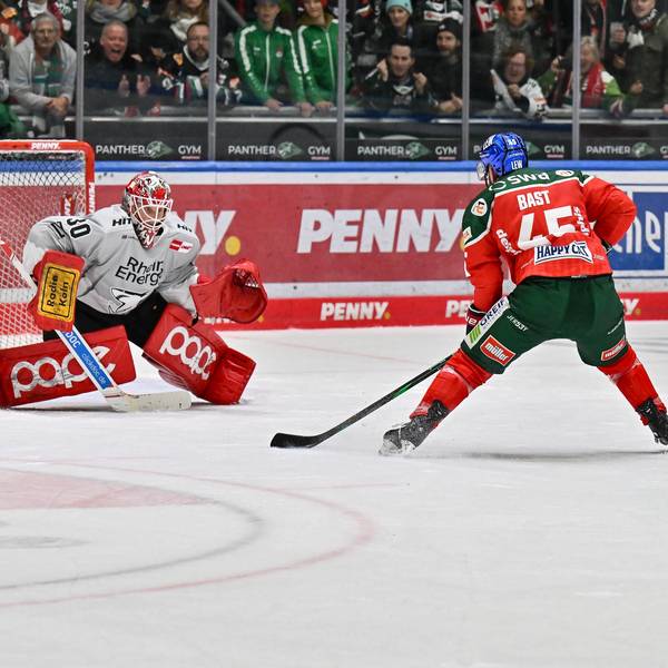 DEL Augsburger Panther - Kölner Haie 29.09.2024 Mirko PANTKOWSKI KEC 30 kann in dieser Szene den Treffer von Jason BAST Augsburger Panther 45 nicht verhindern / Siegtreffer / DEL: Augsburger Panther - Kölner Haie, Curt Frenzel Stadion am 29.09.2024 *** DEL Augsburger Panther Kölner Haie 29 09 2024 Mirko PANTKOWSKI KEC 30 cannot prevent Jason BAST Augsburger Panther 45 from scoring in this scene Winning goal DEL Augsburger Panther Kölner Haie, Curt Frenzel Stadion on 29 09 2024 Copyright: xBEAUTIFULxSPORTS/Goldbergx