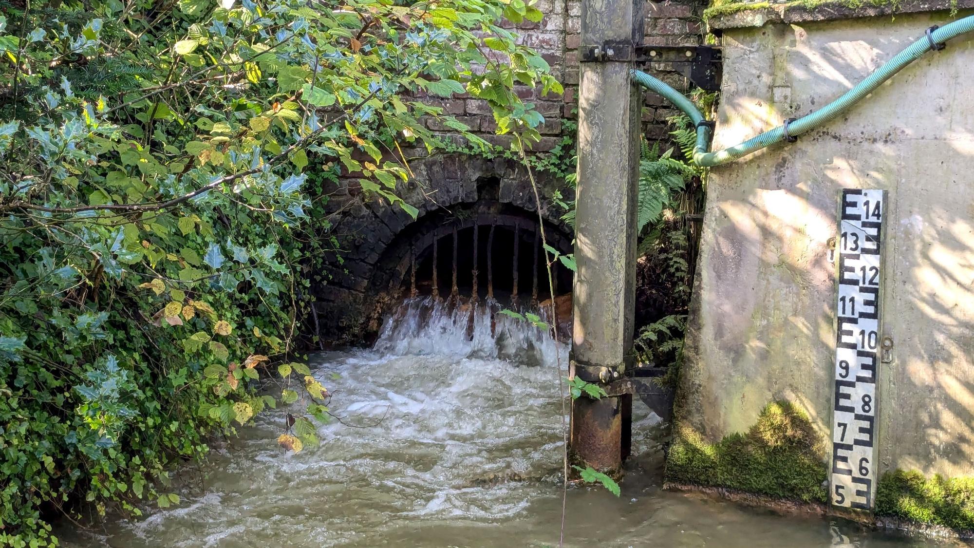 Das Mundloch des Burgfeyer Stollens. Rechts misst ein Pegel die Wassertiefe.