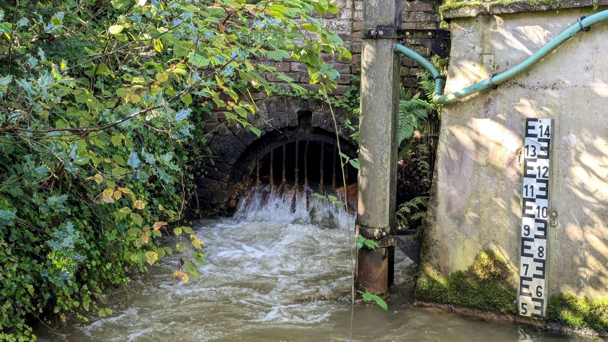 Das Mundloch des Burgfeyer Stollens. Rechts misst ein Pegel die Wassertiefe.