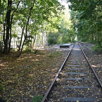 Das Foto zeigt den Gladbacher Bahndamm.