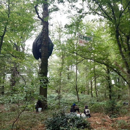Das Bild zeigt drei Aktivisten, die im Sündenwäldchen in Manheim-alt ihr Lager aufschlagen.