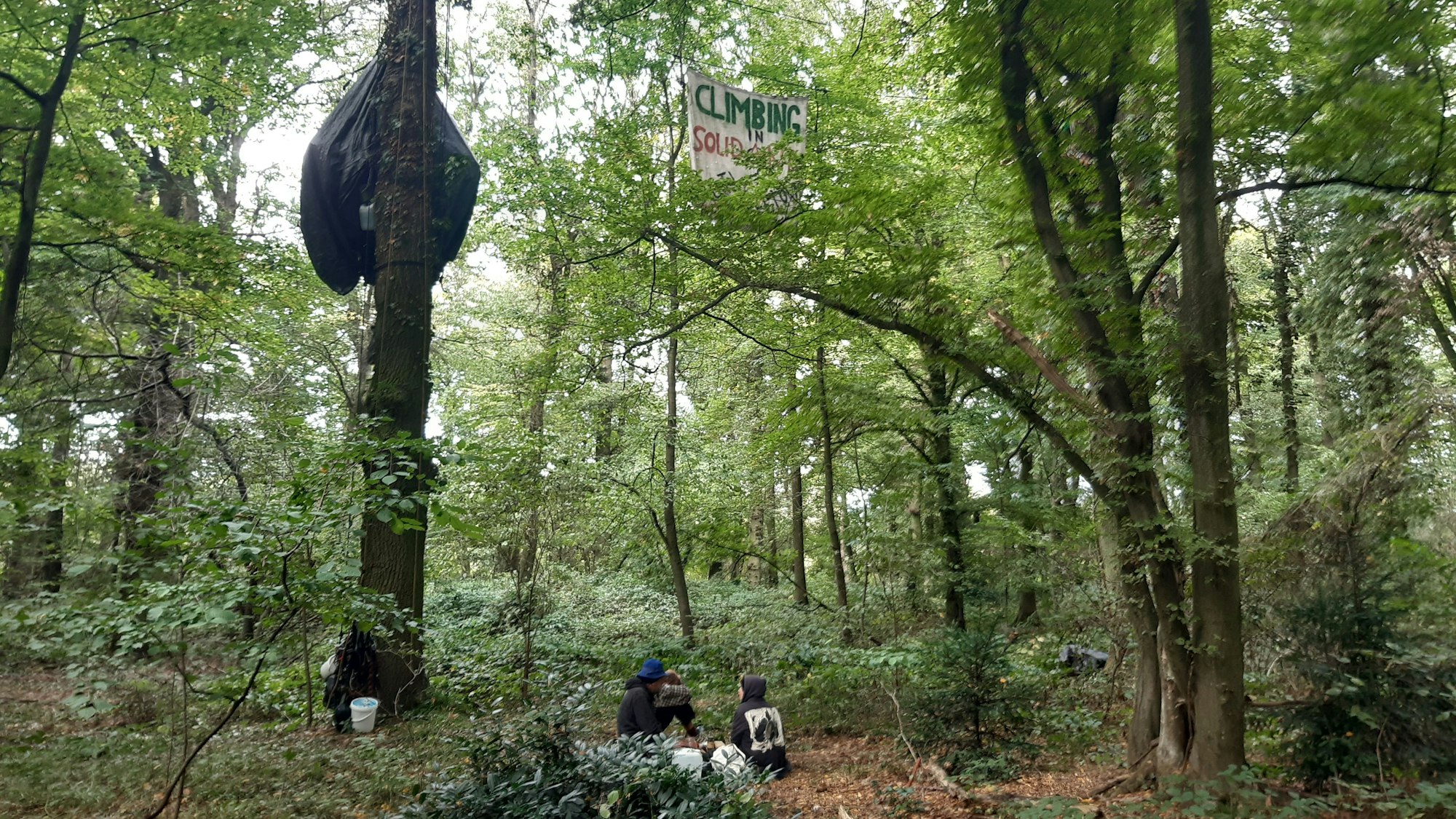 Das Bild zeigt drei Aktivisten, die im Sündenwäldchen in Manheim-alt ihr Lager aufschlagen.