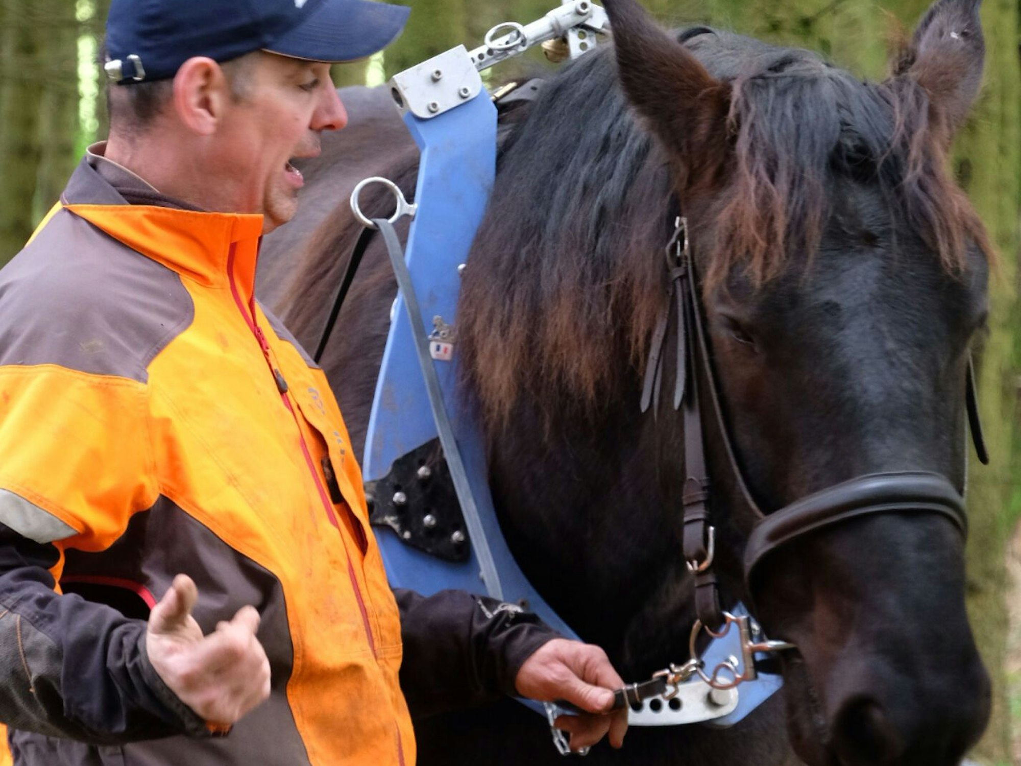 Ein Mann in Schutzkleidung spricht, während er neben einem Pferd steht.