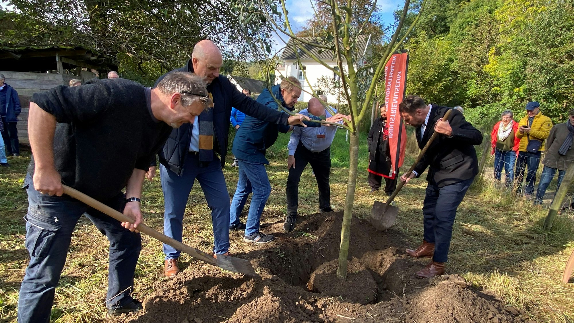 Jürgen Bandsom, Christoph Roenick und Uwe Richrath graben einen Baum ein.
