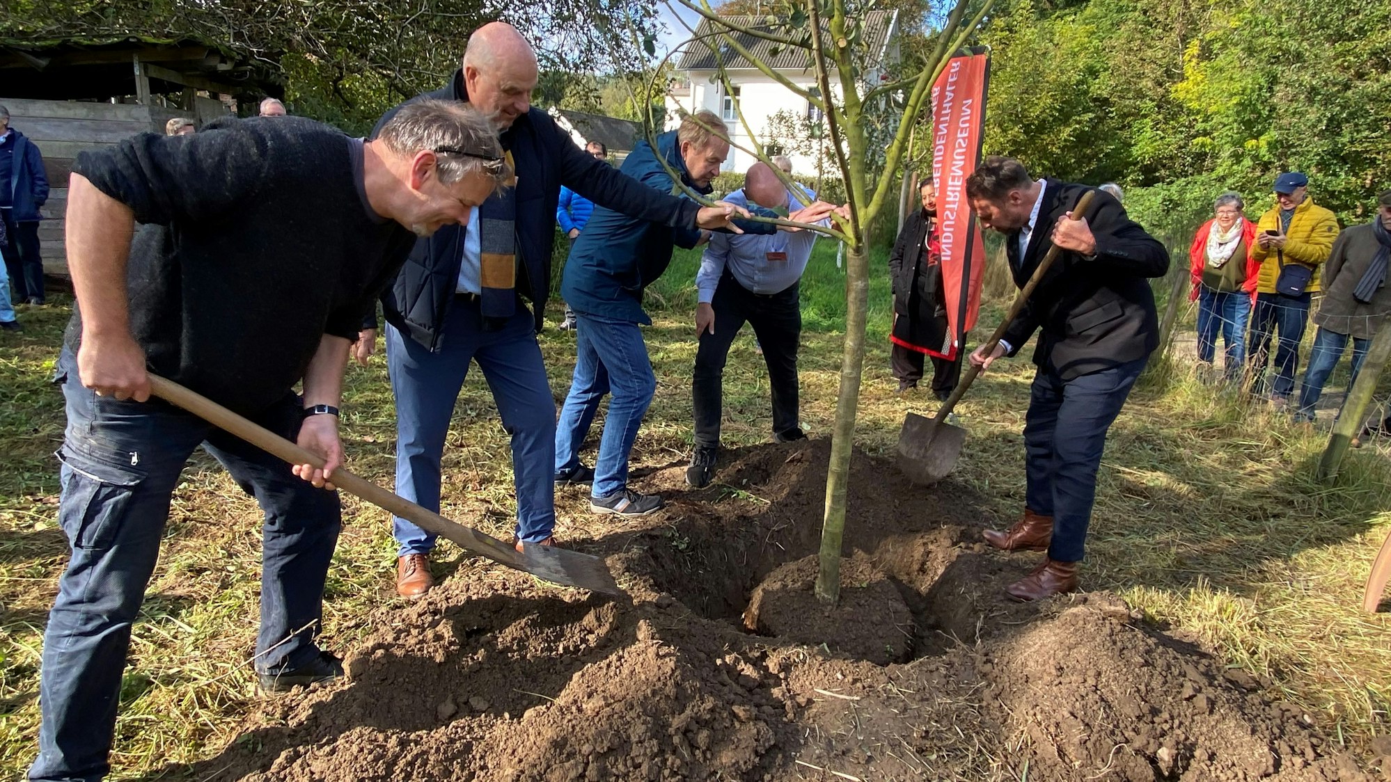 Mehrere Männer pflanzen einen Baum.