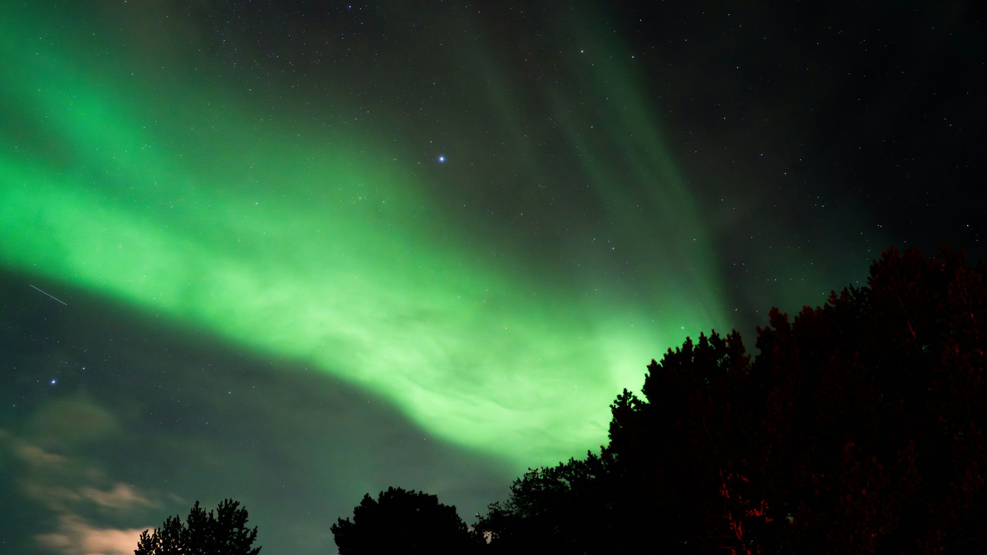 Polarlichter leuchten grün am Himmel.