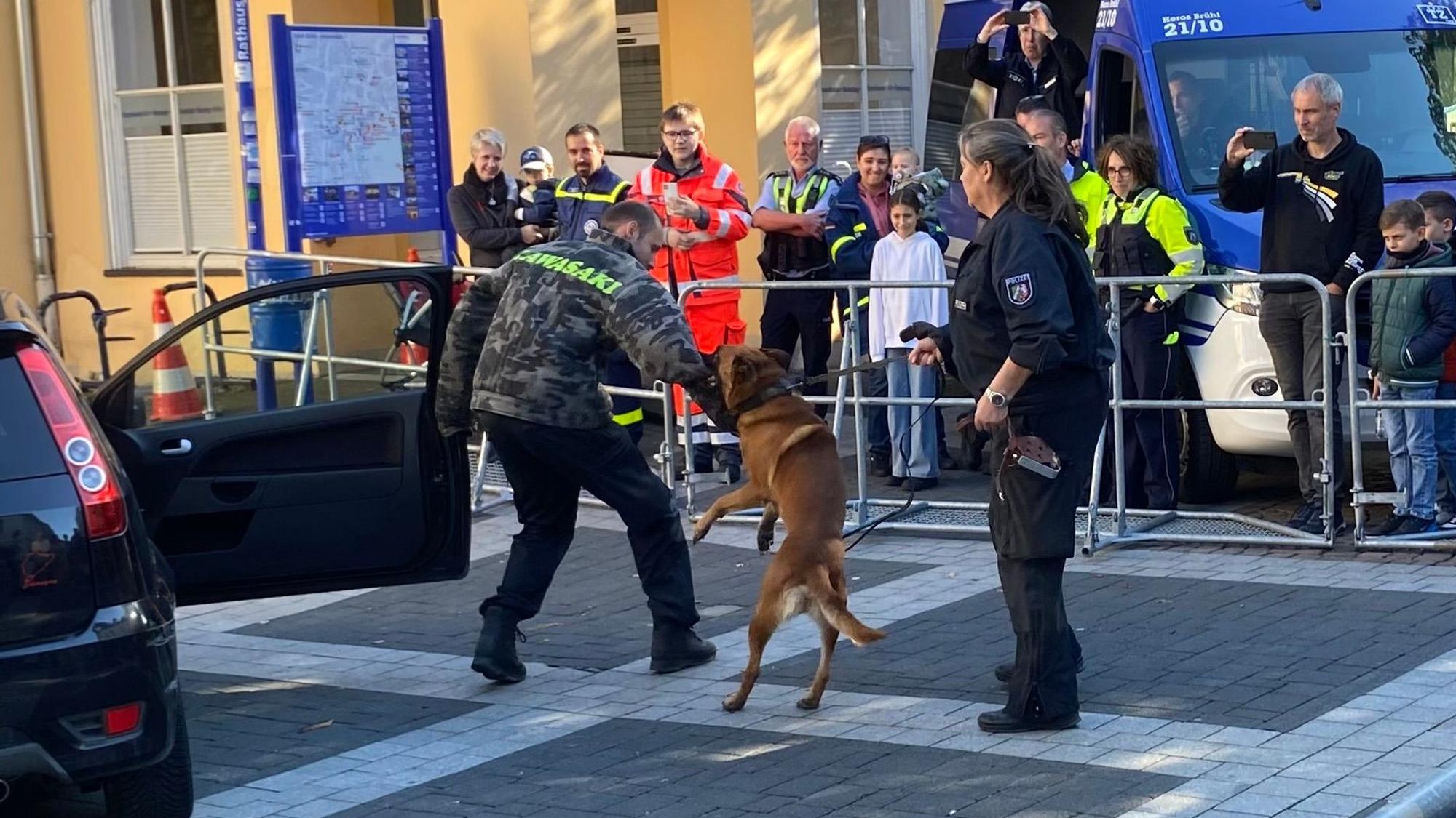 Zu sehen sind Polizisten beim Training mit Hunden.