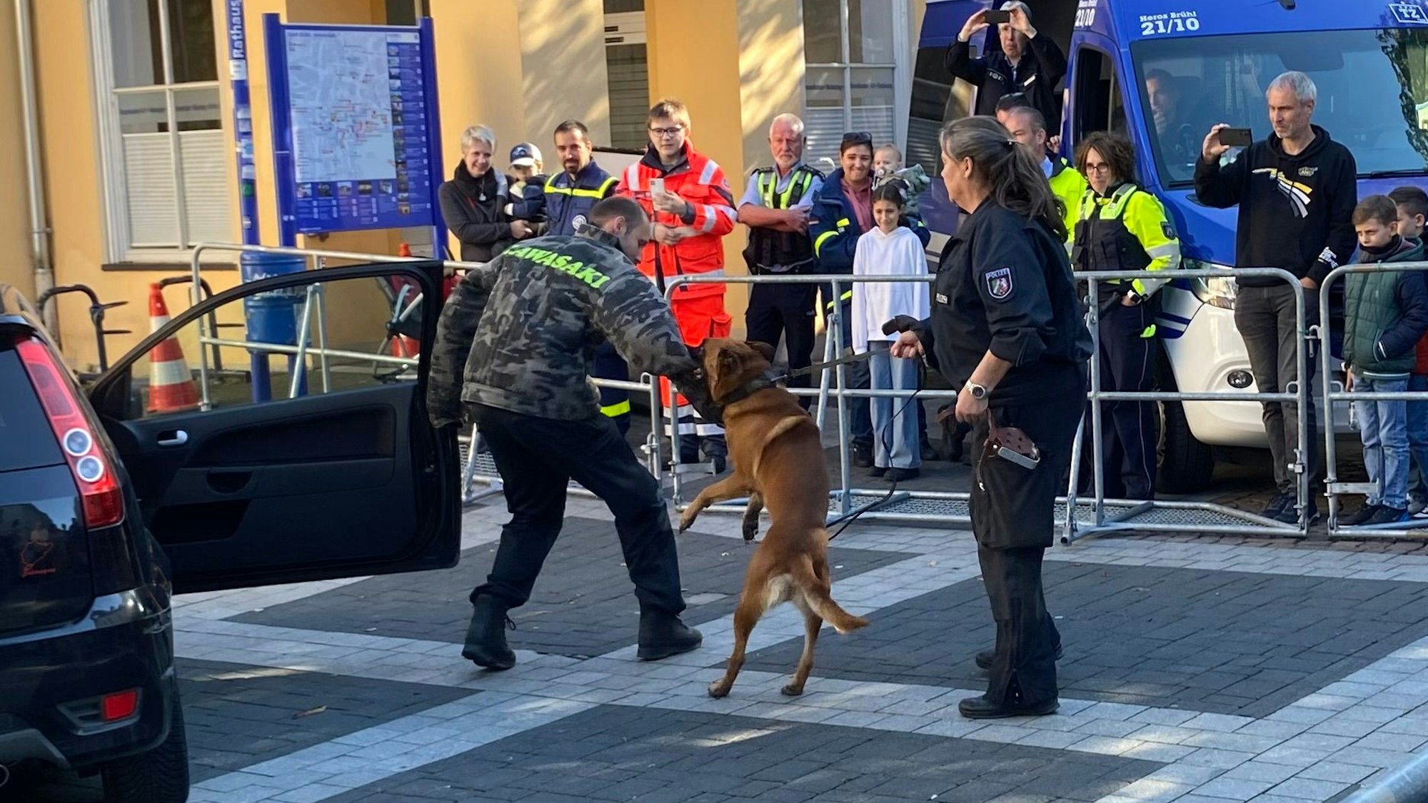 Zu sehen sind Polizisten beim Training mit Hunden.