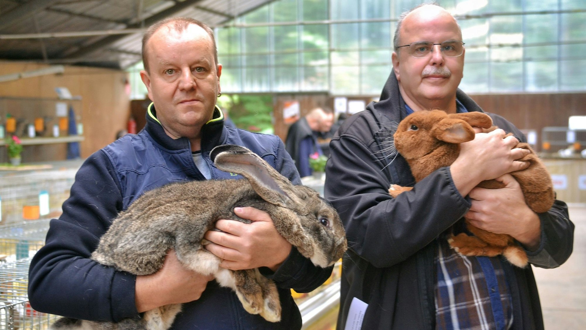 Zwei Männer halten ihre gezüchteten Riesenkaninchen auf den Armen.
