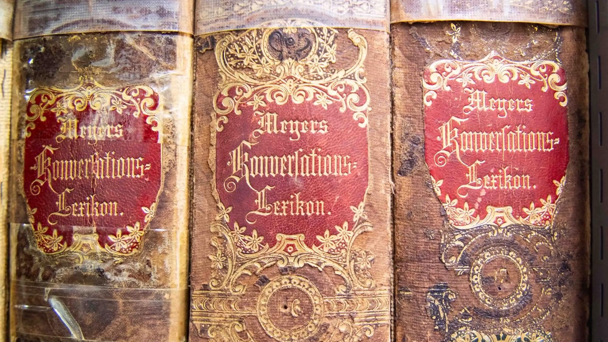 Buchrücken sehr alter Bücher, auf denen der Titel „Meyers Konversationslexikon“ zu lesen ist.