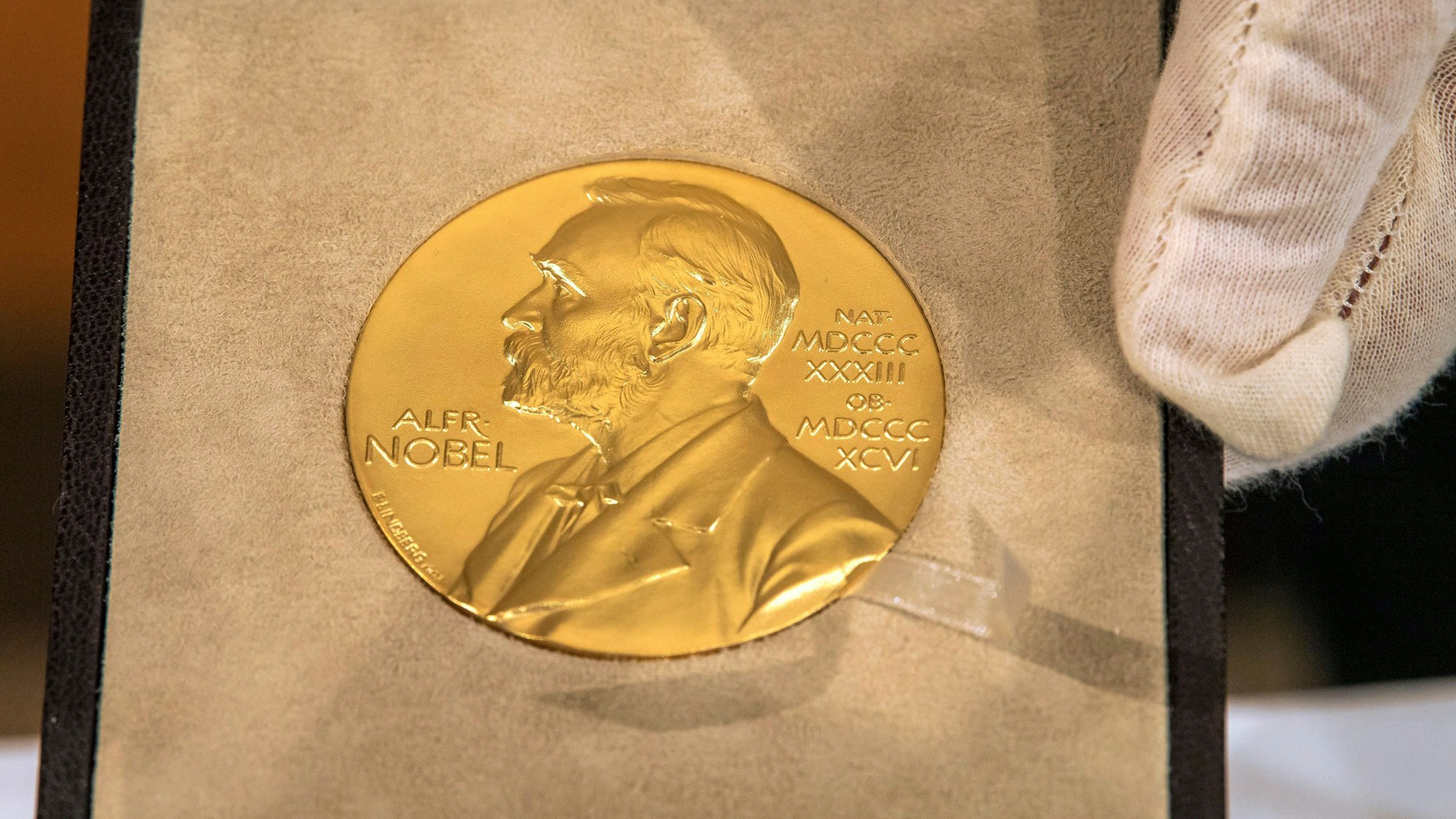 Eine Hand hält vor der Übergabe des Nobelpreises für Physik an den deutschen Physiker Genzel die goldene Medaille. (Archivbild)