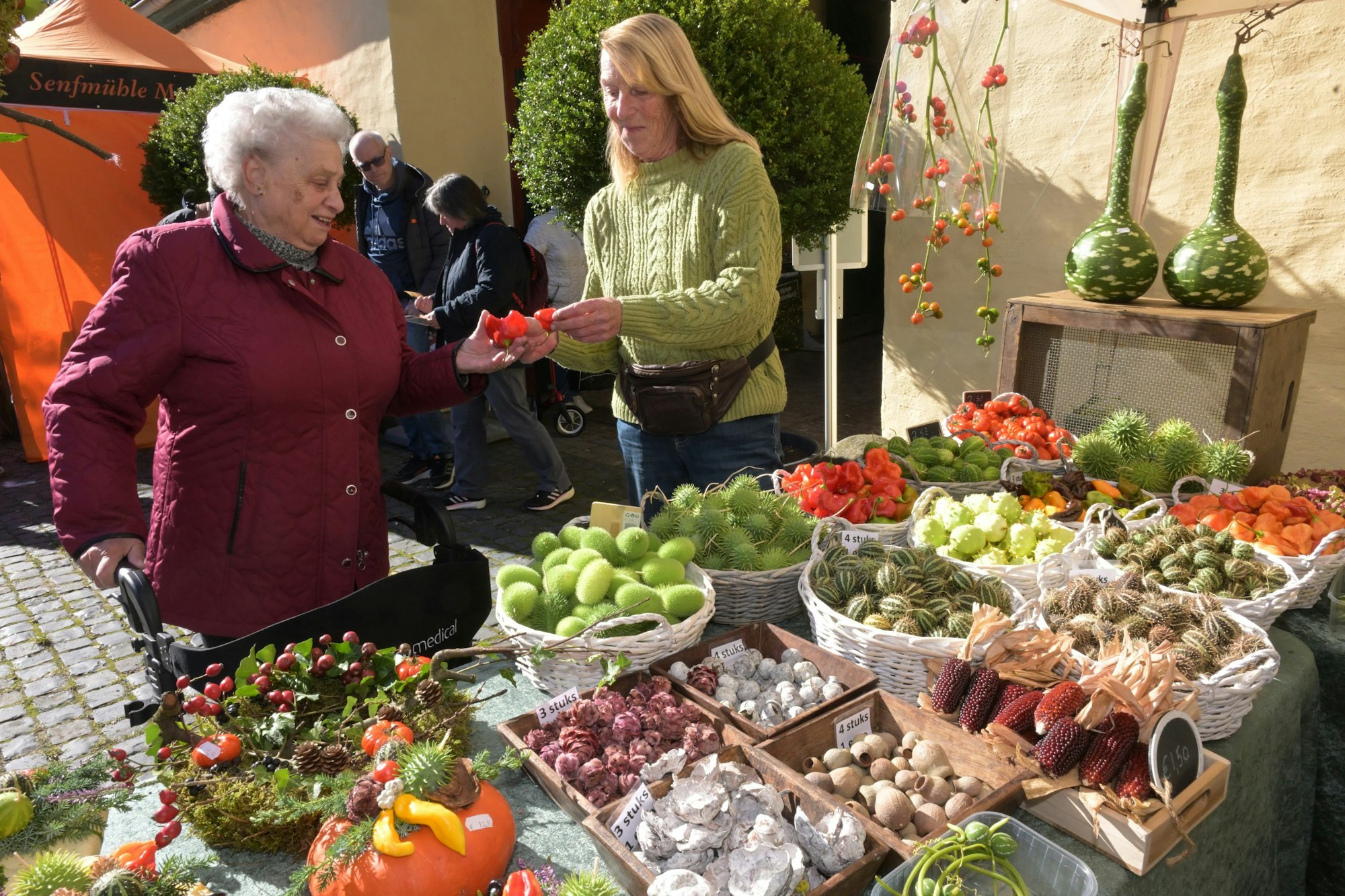 Beim Bummel auf dem Schloss-Gelände gab es Früchte, Dekoratives oder auch Gelegenheit zu einem Imbiss.