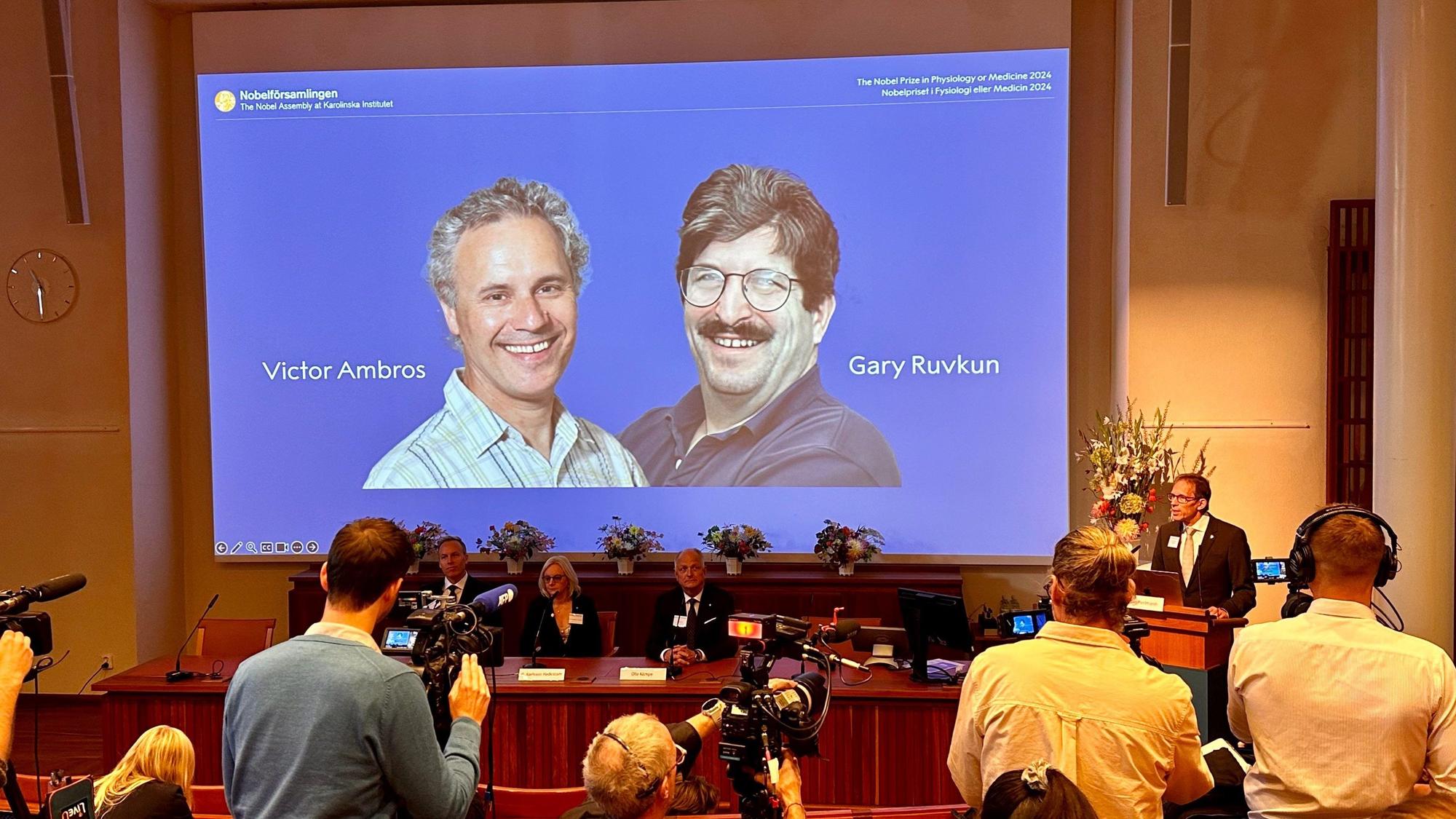 07.10.2024, Schweden, Stockholm: Thomas Perlmann (r), Sekretär der Nobelversammlung, verkündet die Gewinner des Nobelpreises für Medizin 2024, Victor Ambros (l-r, Leinwand) und Gary Ruvkun, von denen Fotos auf eine Leinwand projiziert werden.