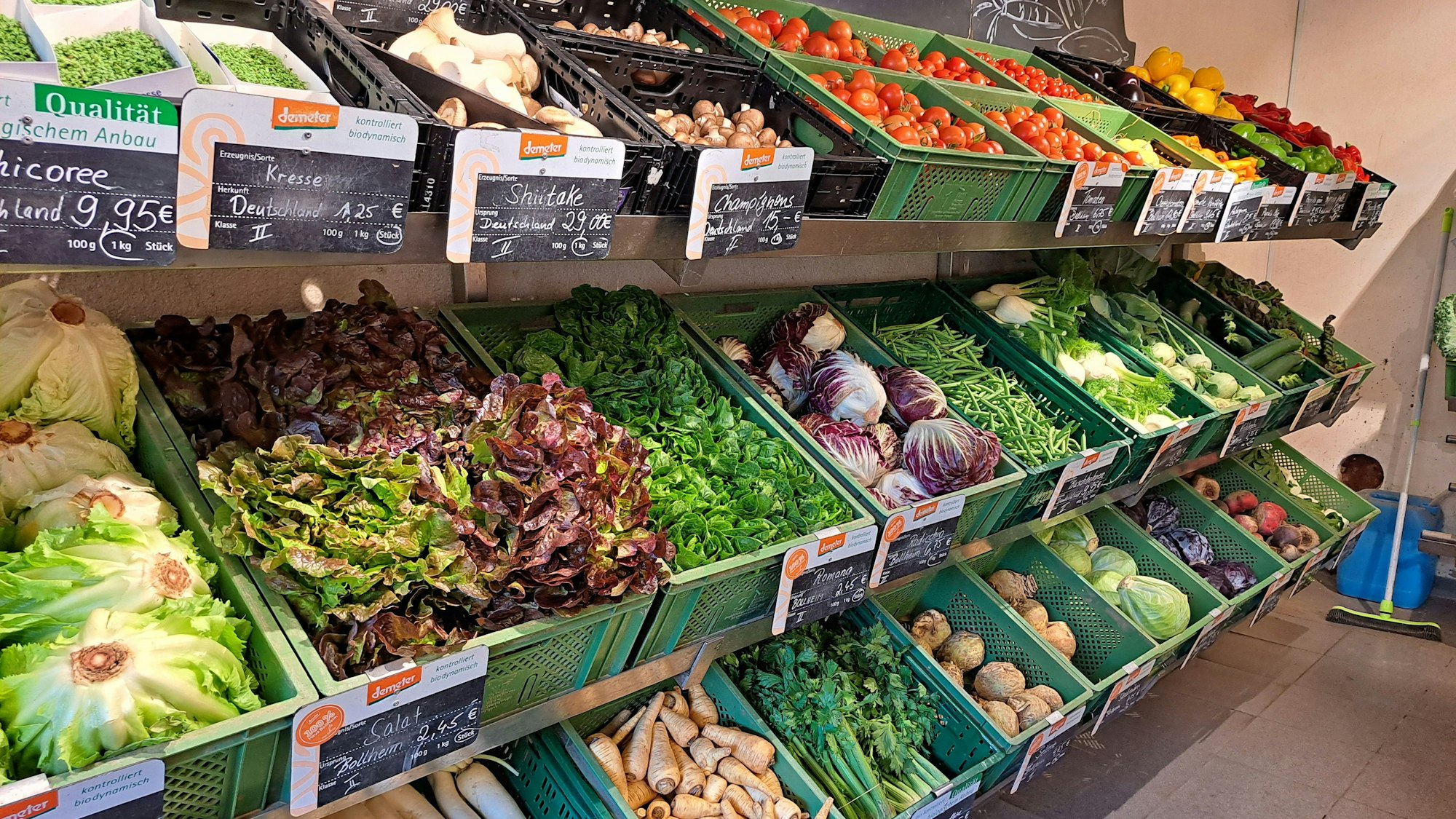 In einem langgestreckten Gemüseregal sieht man Salat, Tomaten, Kohl und vieles mehr. .