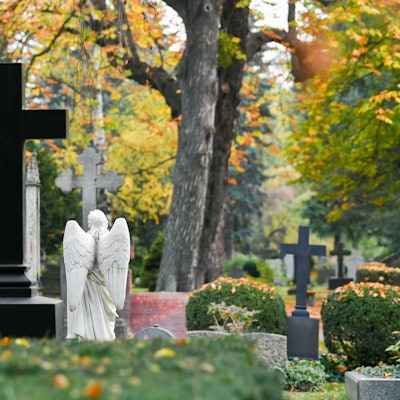 Gräber und herbstlich gefärbte Bäume auf einem Friedhof (Symbolfoto).