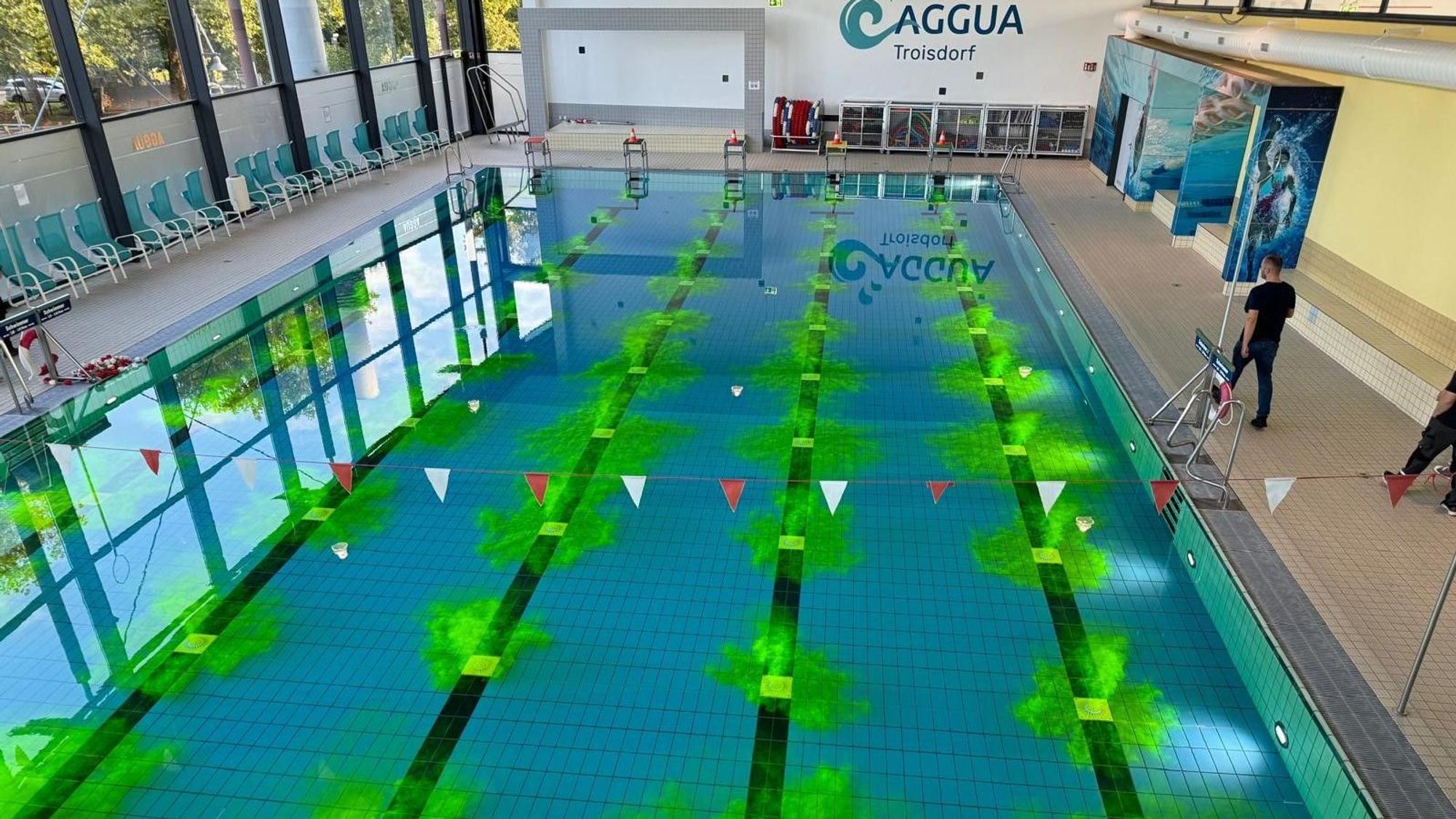 In einem Schwimmbecken färbt sich das Wasser an den Bodendüsen grün.