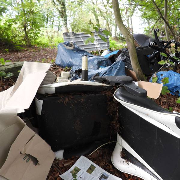 Auf dem Bild ist ein großer Müllhaufen im Wald zu sehen.