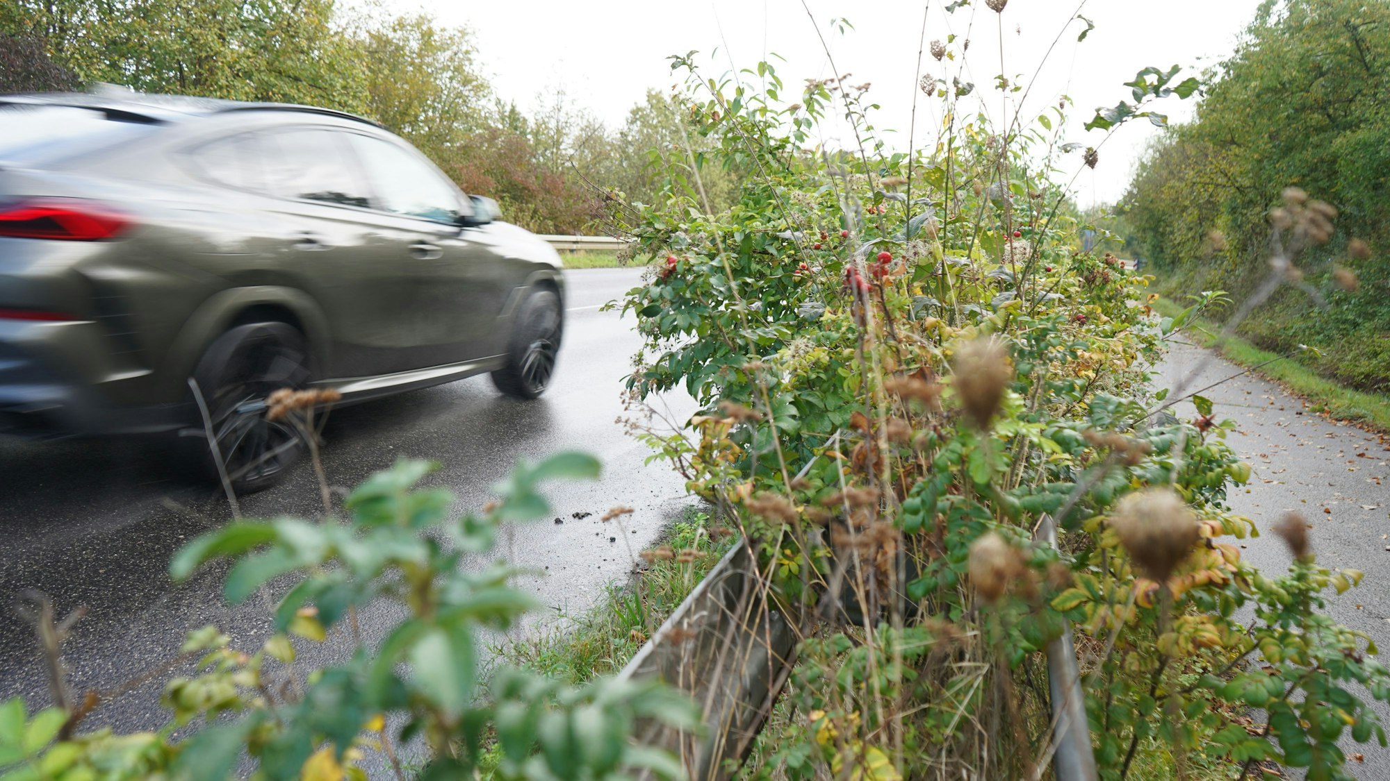 Das Bild zeigt ein Auto, das an einem überwucherten Grünstreifen vorbeifährt.