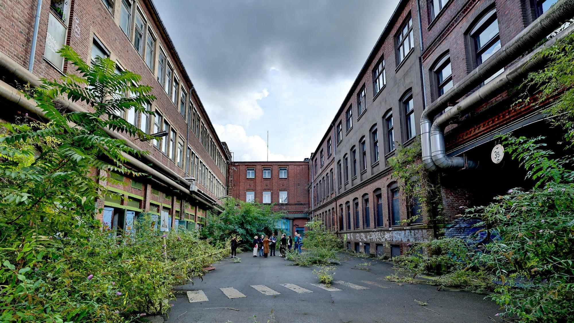 Die Künstler von Raum 13 wollen schon im Sommer 2025 Konzerte und Märkte im Hof veranstalten.