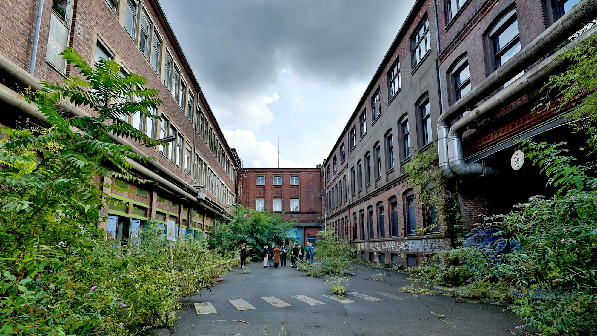 Die Künstler von Raum 13 wollen schon im Sommer 2025 Konzerte und Märkte im Hof veranstalten.