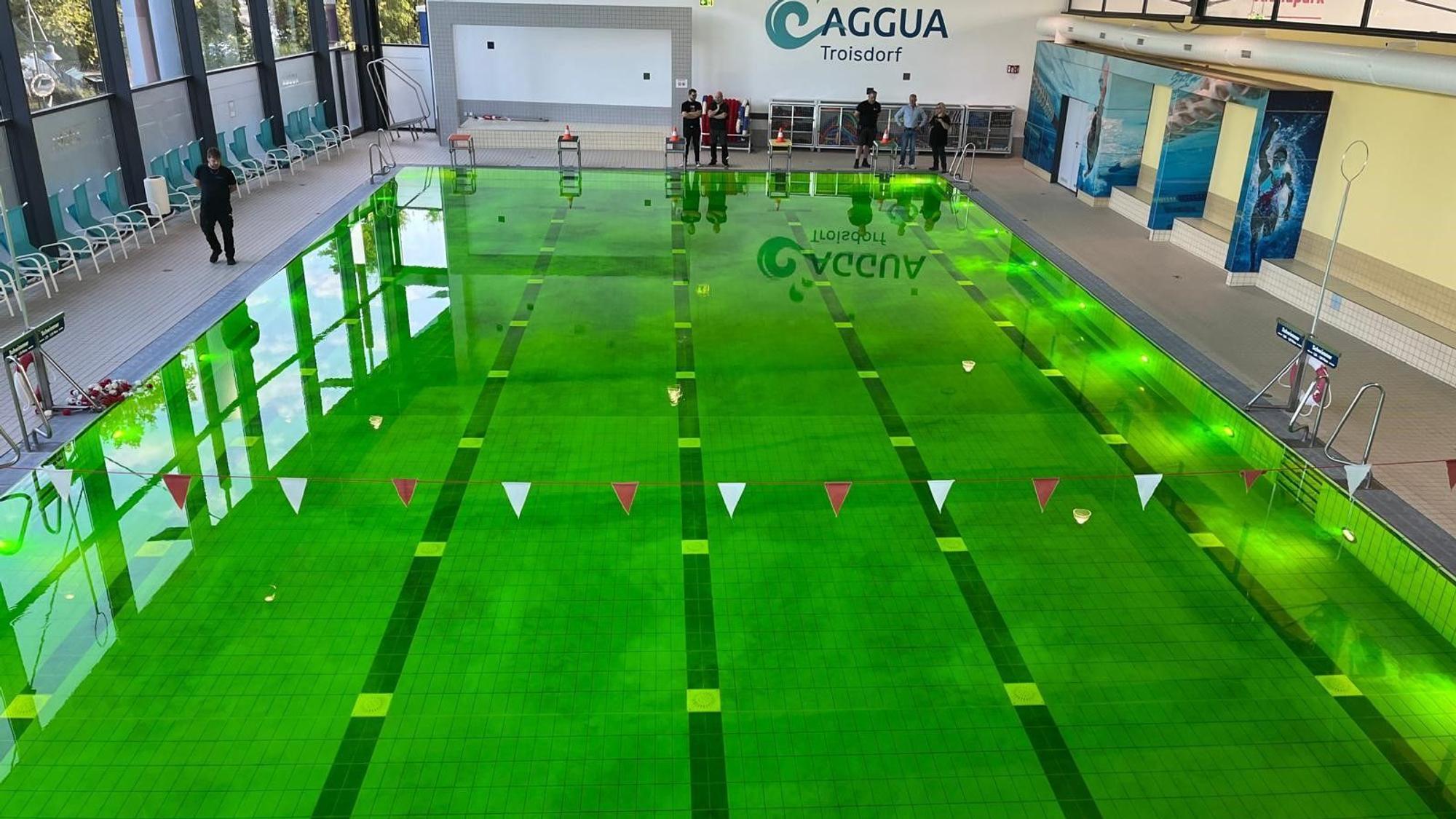 Schwimmbecken mit grün gefärbtem Wasser.