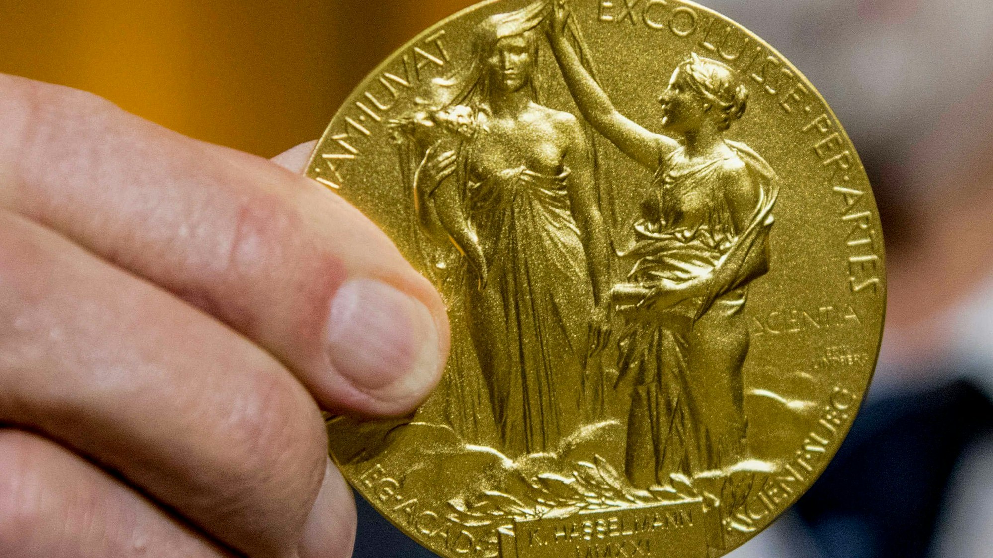 Die Medaille des Friedensnobelpreises.