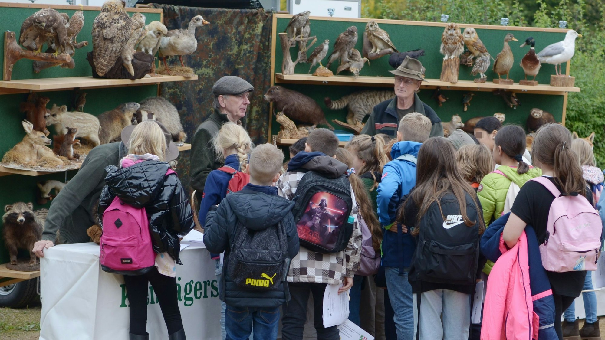 Kinder stehen am Stand der Waldschule, an dem Jäger die in Regalen aufgereihten Tierpräparate erläutern.