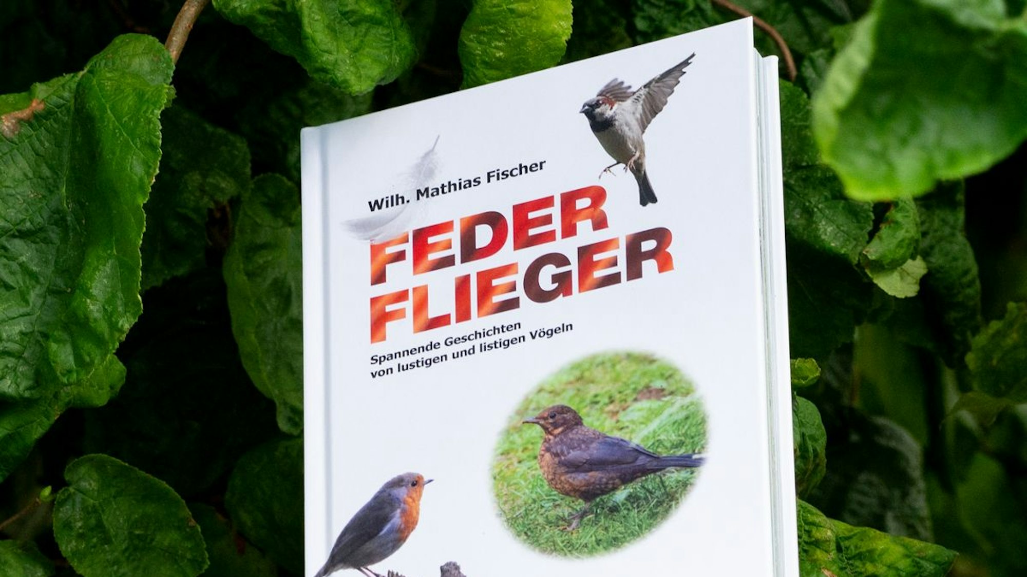 Der Burscheider Autor Wilhelm Mathias Fischer hat mit „Federflieger“ ein Kinder- und Jugendbuch geschrieben.