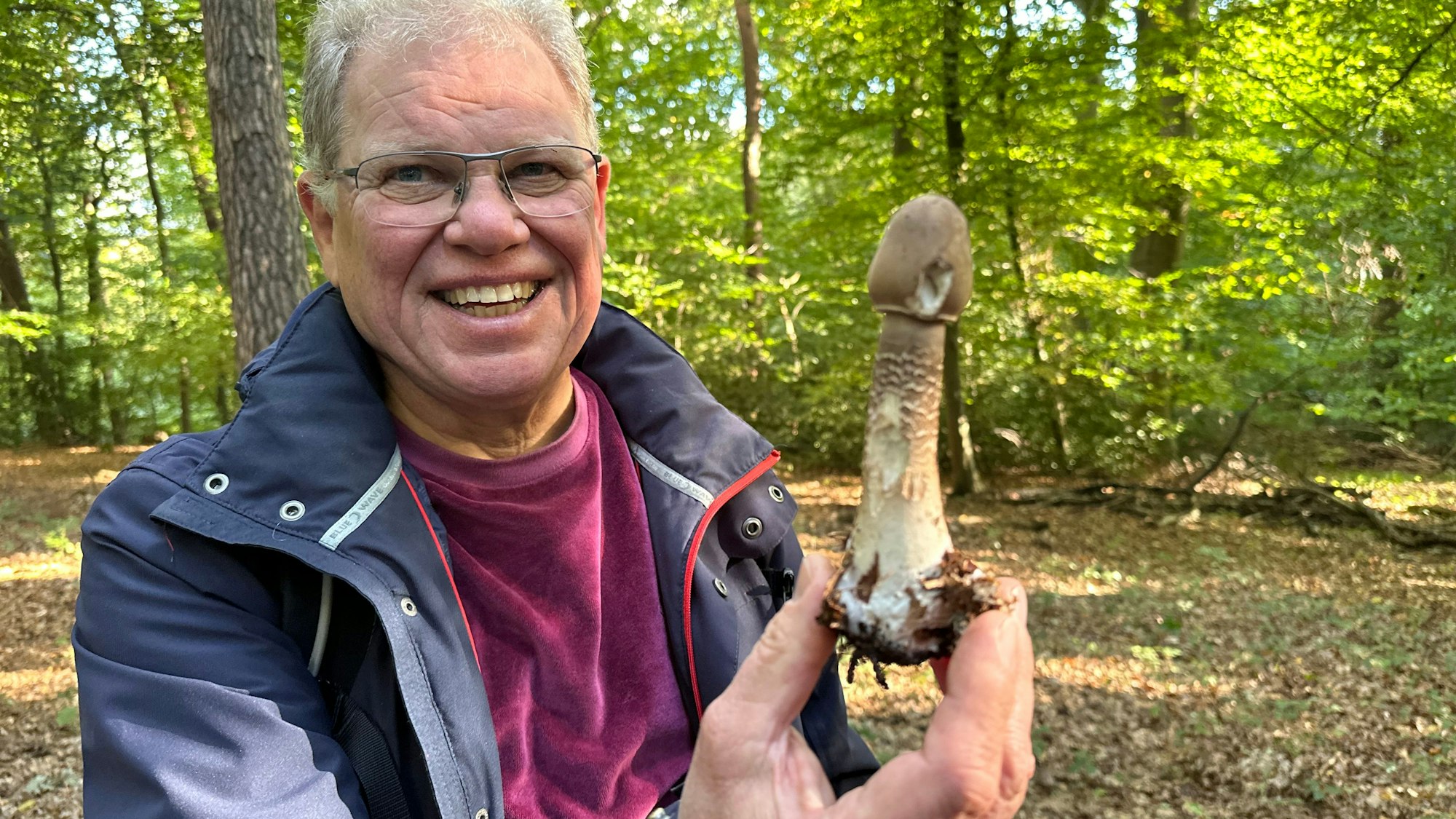 Ulrich Washausen zeigt einen jungen Parasolpilz dessen Schirm sich noch nicht geöffnet hat.