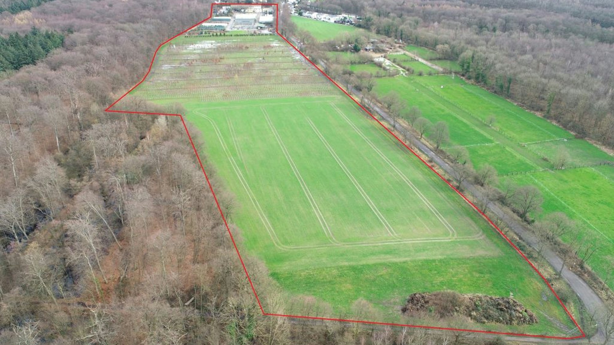 In den hinteren 90 Prozent des Geländes wollte die Stadt den Königsdorfer Forst erweitern und damit Ausgleichsflächen für Bauprojekte schaffen.