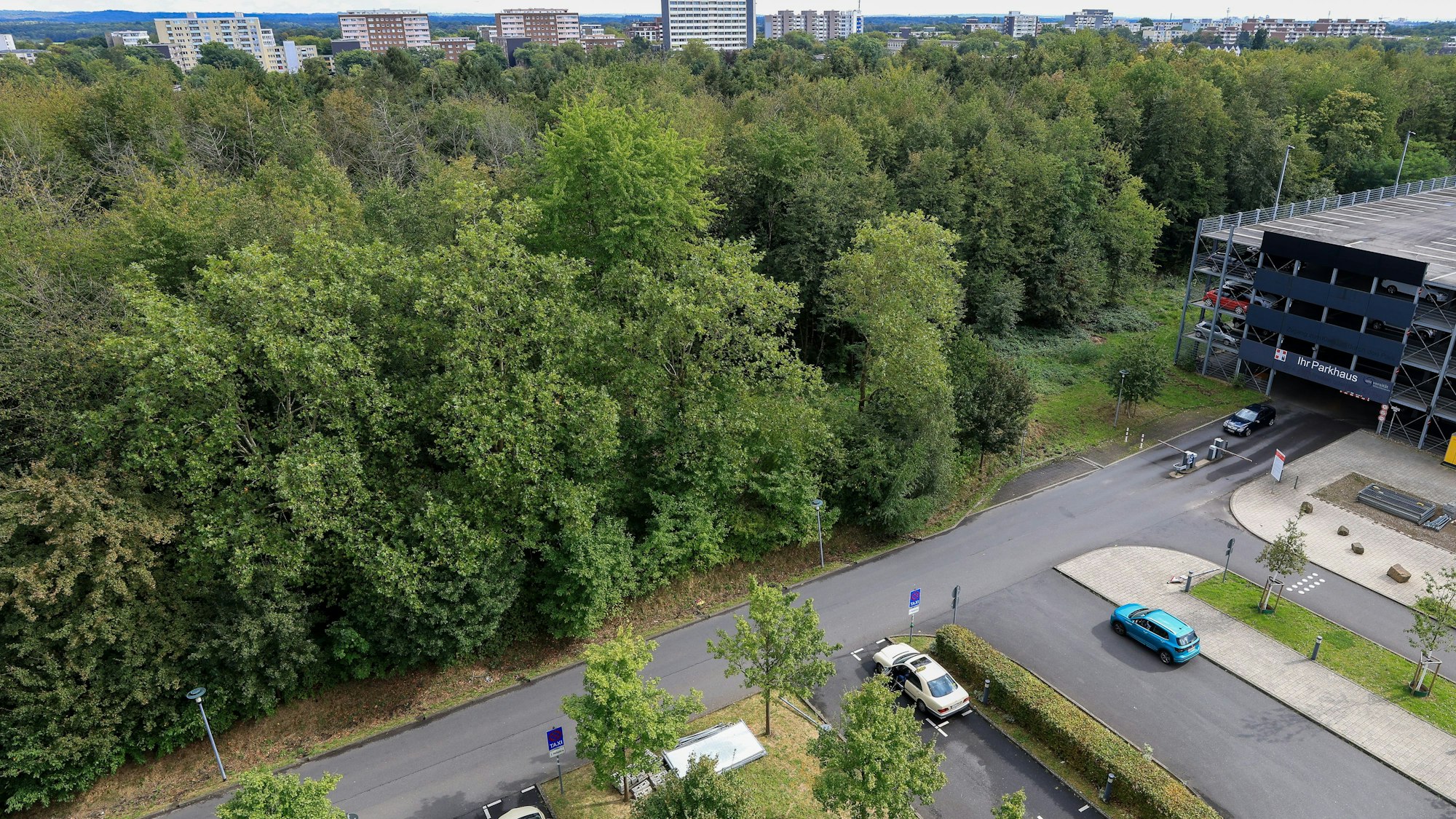 In dem kleinen Wäldchen neben dem Parkhaus des Krankenhauses Merheim liegen die meisten Verdachtspunkte auf Blindgänger.